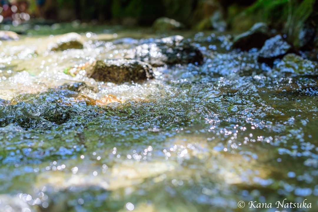 三代目H・Sensitive Person(笑)の私が思うHSCちゃん子育て論 【安心感】編～「私は子どもに何をして